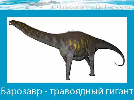 Открытки